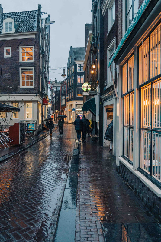 Rainy Afternoon Amsterdam